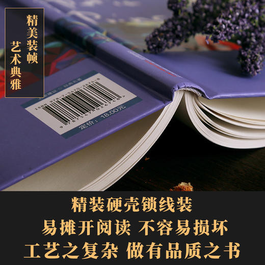 【汉译经典文库-精装】小王子书老人与海/假如给我三天光明/童年/安徒生童话/巴黎圣母院/昆虫记/呼啸山庄 小学生课外阅读书籍名著 商品图3