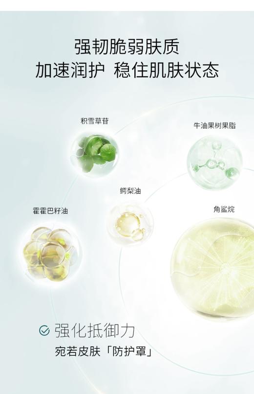 夸迪冻干面膜一盒（5片） 商品图4