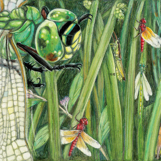 《呱呱旅行社》（全4册） 商品图8