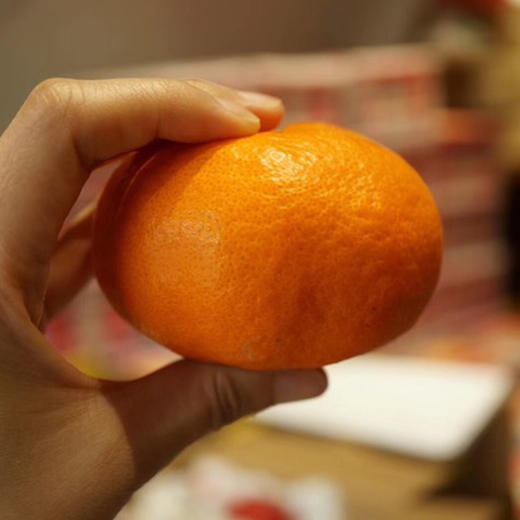象山甘平 日本论个卖的高档柑橘 颜值高又美味 商品图2