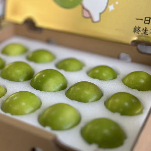 台湾蜜枣苹果枣牛奶枣超大规格 ，像小苹果，甜度很高水份爆汁，无涩口，已经尝过推荐推荐l 商品图7