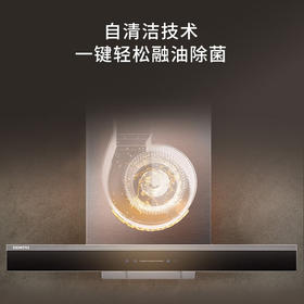 西门子（SIEMENS）21.5立方大吸力欧式抽油烟机 5D环吸设计 自清洁技术 3+1挡风速调节 LC77FA951W