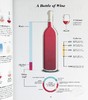 预售 【中商原版】图学葡萄酒 入门 品鉴 配餐看图就懂 英文原版 Wine Folly Magnum Edition The Master Guide Madeline Puckette 商品缩略图5