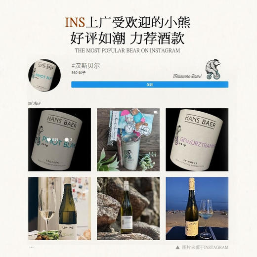 【德国QBA金奖葡萄酒】德国瀚斯小熊长相思干白葡萄酒 德国莱茵黑森产区 12%vol 商品图6