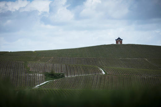 Bonnaire Cramant Grand Cru Blanc de Blancs 2016  宝奈儿克拉芒特级白中白 2016 750ml&1.5L 商品图7