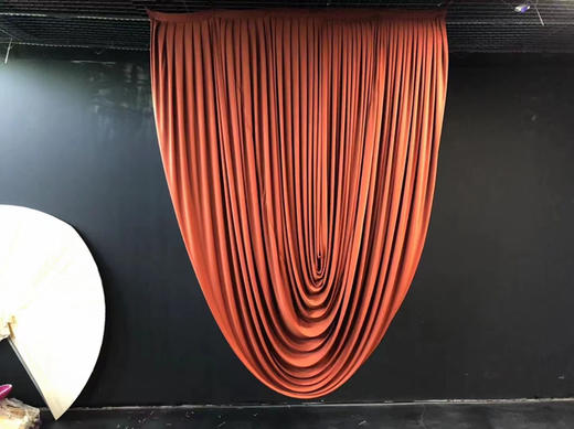 幔帘（运费自理） 商品图6