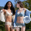 HSIA遐全罩杯内衣女2023新品夹棉防凸点大花全蕾丝薄胸罩大胸显小文胸【一路生花】 商品缩略图1