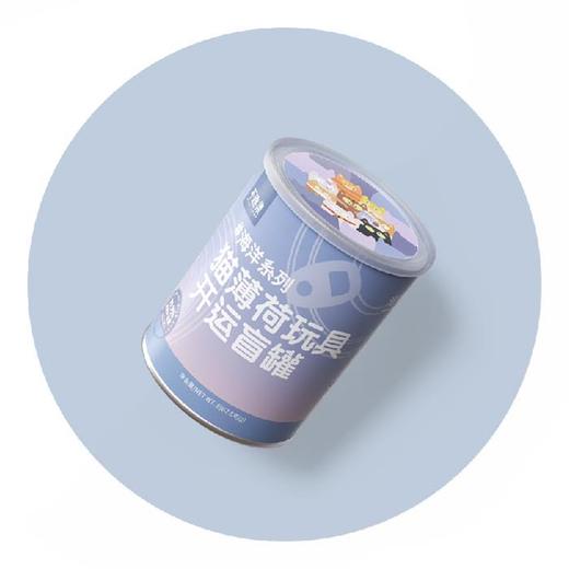 玩具盲盒「不趣集」海洋系列猫薄荷玩具开运盲罐自嗨磨牙耐咬耐抓逗猫棒 商品图4