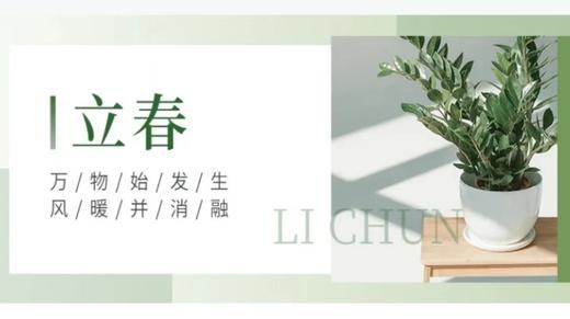 会员服务：0208周三早启航 商品图0