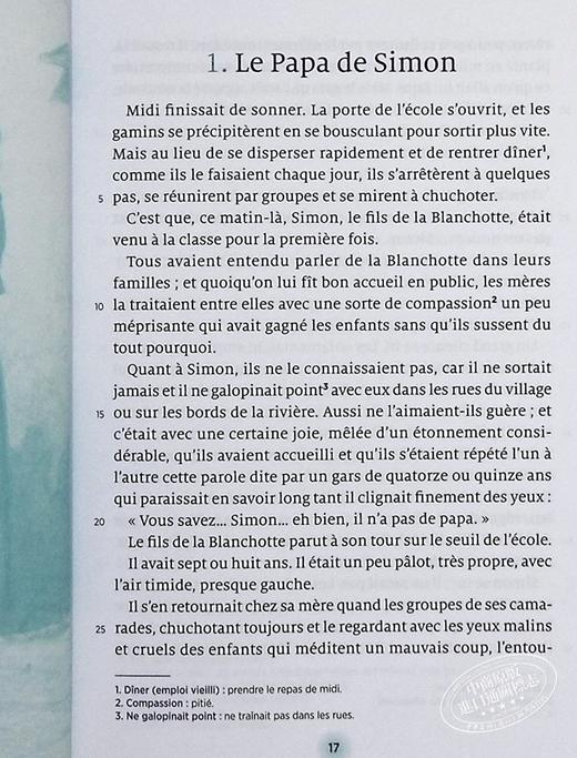 【中商原版】莫泊桑 短篇故事及小说 Contes et nouvelles 法文原版 Guy de Maupassant 文学 小说 商品图4