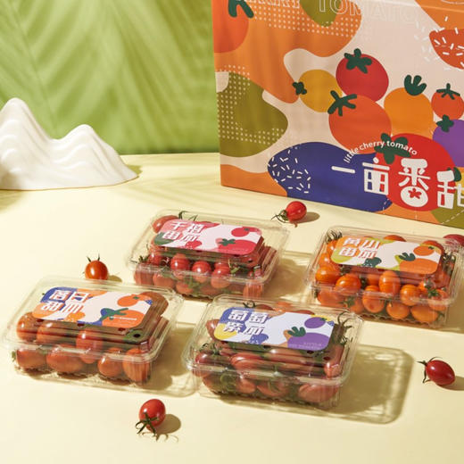 四色小番茄 四拼小番茄 3斤家庭/彩箱 4斤礼盒装【顺丰包邮】 商品图3