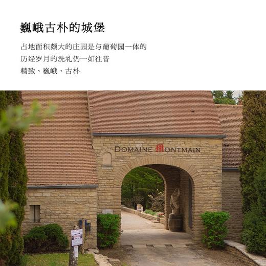 【夜丘村庄级单一园AOC】雪狐庄园上夜丘单一园干红葡萄酒 法国原瓶进口 13%vol 商品图5