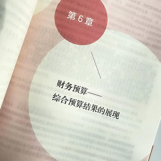 企业*预算管理实务与案例解析（第2版）：从预算编制、流程控制到结果考评 管理会计 企业经营 会计图书 企业财务管理书籍 商品图2