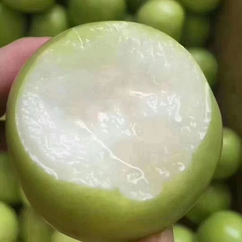 台湾蜜枣苹果枣牛奶枣超大规格 ，像小苹果，甜度很高水份爆汁，无涩口，已经尝过推荐推荐l