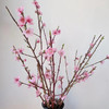精品花卉桃花一扎 商品缩略图0