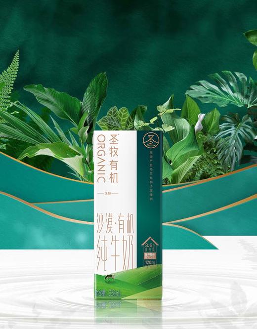 250ml*10圣牧有机纯牛奶（优醇） 商品图1