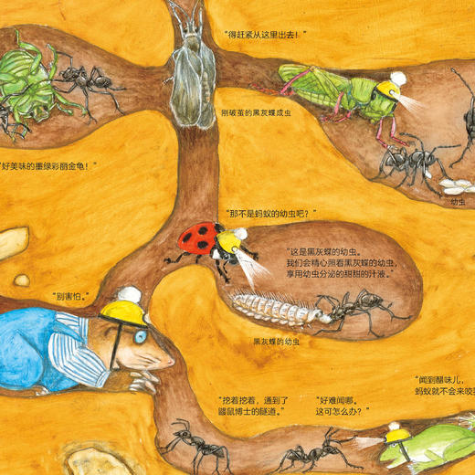 《呱呱旅行社》（全4册） 商品图10