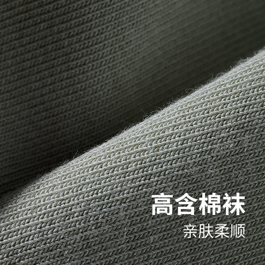 都市丽人简约系列高含棉袜子中厚船袜LC3DA2 商品图2