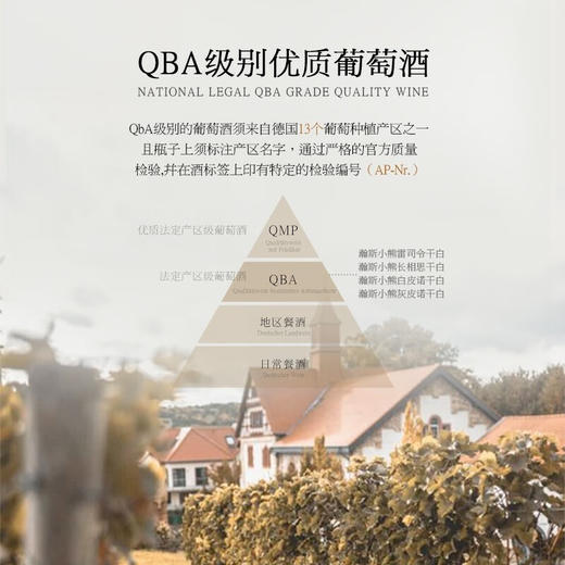 【德国QBA金奖葡萄酒】德国瀚斯小熊长相思干白葡萄酒 德国莱茵黑森产区 12%vol 商品图3