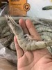 【保证不掺假】正宗王牌虾原装特惠30-40大虾，毛重约4.2斤，净重3斤，不是外面那种假的王牌虾，气冻无冰，下面一层冰是保鲜的，味鲜美，肉质紧实，口感鲜嫩弹，全国包邮 商品缩略图0