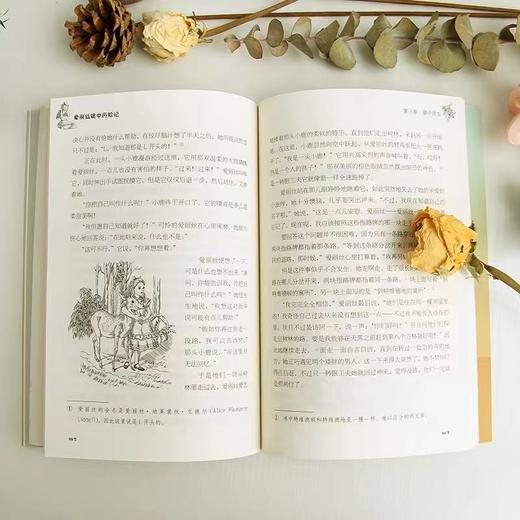 图书再生/爱丽丝漫游奇境 商品图1