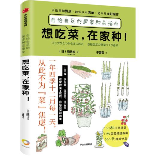 中信出版 | 预售 想吃菜，在家种+水培菜，在家种 商品图6