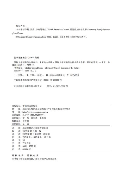 国际大电网委员会绿皮书 未来电力系统 商品图3