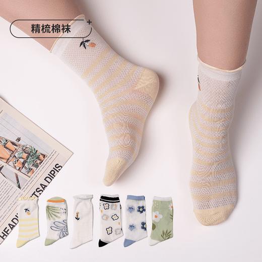 都市丽人时尚系列精梳棉袜子薄款中筒袜LC3EA1 商品图0