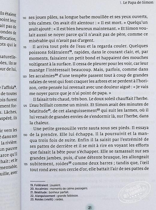 【中商原版】莫泊桑 短篇故事及小说 Contes et nouvelles 法文原版 Guy de Maupassant 文学 小说 商品图6