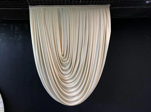 幔帘（运费自理） 商品图5