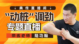 【陆师带练】“动桩”调劲