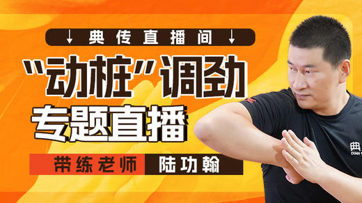 【陆师带练】“动桩”调劲 商品图0