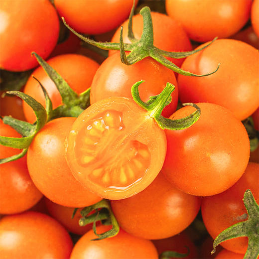 四色小番茄 四拼小番茄 3斤家庭/彩箱 4斤礼盒装【顺丰包邮】 商品图0