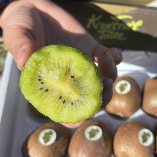 正宗陕西眉县基地徐香猕猴桃，9粒，约1.5斤 商品图0