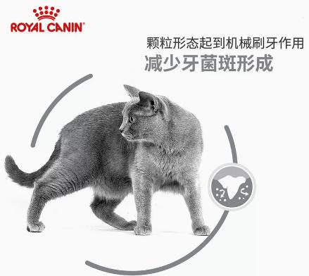 皇家口腔护理成猫粮1.5kg 商品图2