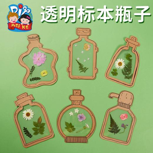 透明标本瓶子手工diy儿童创意美术美劳涂鸦粘贴制作环创装饰材料 商品图3