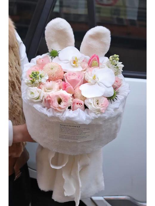 前兔无量 商品图0