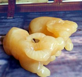 黄玉牛（单只价）