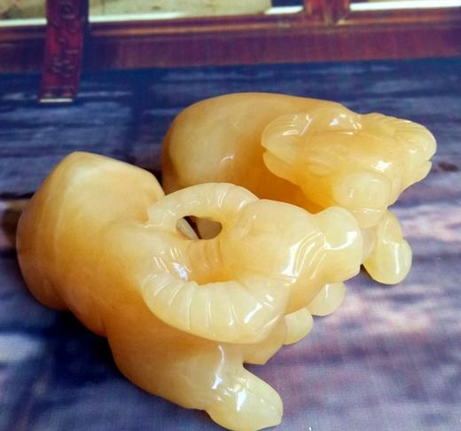 黄玉牛（单只价） 商品图0