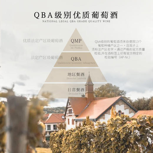 【《Xtra Wine》高分评价】瀚斯小熊琼瑶浆白葡萄酒 德国莱茵黑森产区 10.5%vol 商品图5
