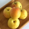 新鲜水果  山东香妃梨5斤袋装 商品缩略图1