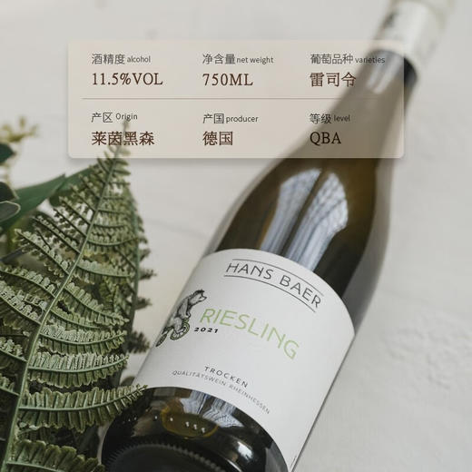 【德国QBA金奖葡萄酒】德国瀚斯小熊雷司令干白葡萄酒 德国莱茵黑森产区 11.5%vol 商品图7