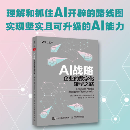 AI战略：企业的数字化转型之路 人工智能 计算机应用 数据驱动的数字化转型 数据处理与分析 企业管理生产经营书籍 商品图0