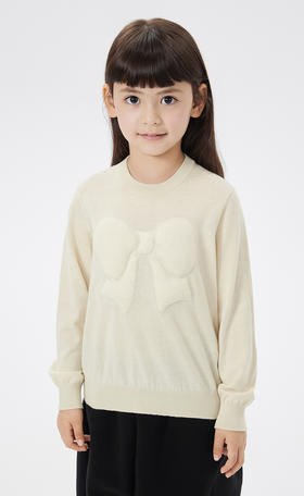 JNBY  23年春款  立体充棉图案长袖套头毛衫  1N2311210