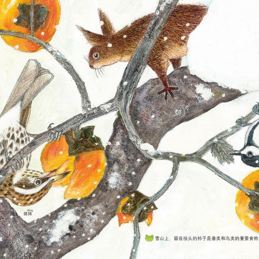 《呱呱旅行社》（全4册） 商品图13