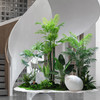 【合集】【广佛市区包搭建】仿真绿植造景 商品缩略图0