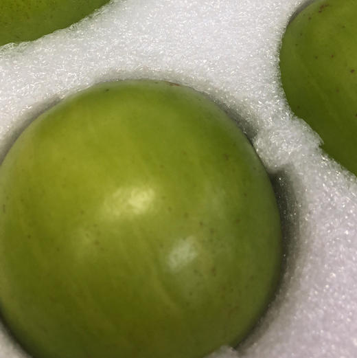 台湾蜜枣苹果枣牛奶枣超大规格 ，像小苹果，甜度很高水份爆汁，无涩口，已经尝过推荐推荐l 商品图6