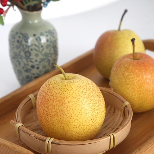 新鲜水果  山东香妃梨5斤袋装 商品图2