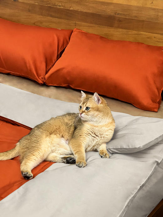 【小日子定制】Anyland长绒棉贡缎四件套 商品图1