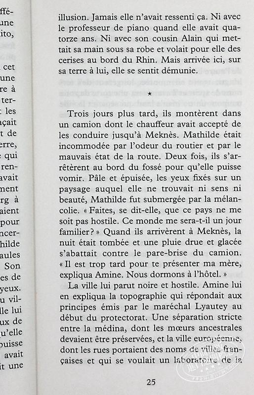 【中商原版】蕾拉 斯利玛尼 他人的国度 温柔之歌 作者新书 LE PAYS DES AUTRES 法文原版 Leila Slimani 商品图7